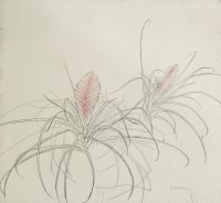 Lot 331 - Dame Elizabeth Violet Blackadder RA (b.1931)
TILLANDSIA
Etching