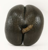 Lot 1192 - A Coco de Mer