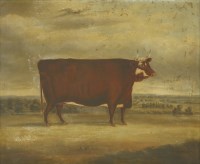 Lot 326 - English School