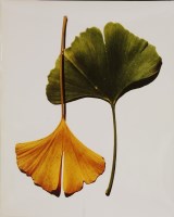 Lot 299 - Irving Penn (American