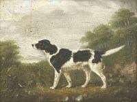Lot 243 - Edward Lloyd of Ellesmere (fl.1846-1891)
A SPANIEL
Signed