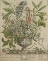 Lot 250 - Henry Fletcher