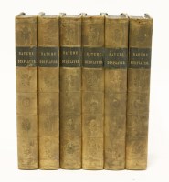 Lot 262 - SHAW