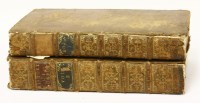 Lot 214 - MAITLAND