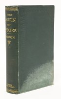 Lot 197 - DARWIN