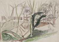 Lot 101 - John Northcote Nash RA (1893-1977)
WOODLAND SCENE
With estate stamp verso