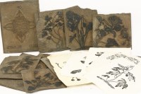 Lot 217 - Tom Wright (1921-1992)
A COLLECTION OF LINOCUTS OF FLOWERS FROM THE 1950s
including some from the artist's series 'The ABC of Wild Flowers' and a few prints from the linocuts
largest 34.5 x 26cm (13