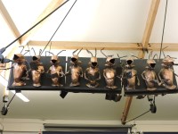 Lot 569 - 'The Cambridge Choristers'