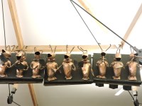 Lot 572 - 'The Cambridge Choristers'