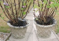 Lot 576 - A pair of Haddonstone garden vases