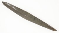 Lot 110 - An aboriginal parrying shield