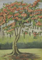 Lot 388 - Betty Deans Paterson (Australian