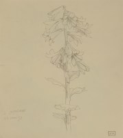 Lot 24 - John Aldridge RA (1905-1983)
'L GIGANTAUM'
verso