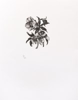 Lot 1265 - John Nash (British