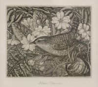 Lot 1125 - Robin Tanner (British