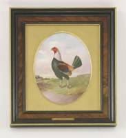 Lot 23 - A painted porcelain panel of a fighting cock