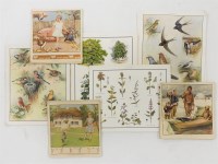 Lot 413 - Old School classroom prints