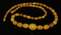 Lot 23 - A single row