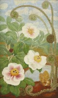 Lot 375 - Elvic Steele (1920-1997)
'PEONY AND BRACKEN';
'YELLOW PEONY';
'ORCHID FLOWER'
Three