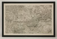 Lot 11 - A Map of Surrey
