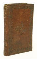 Lot 21 - Lotterus