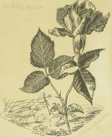 Lot 3 - Edward Bawden RA (1903-1989)
A ROSE