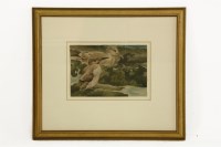 Lot 1567 - Richard Barrett Talbot Kelly (1896-1971)
IMMATURE HERRING GULL AND GUILLEMOT