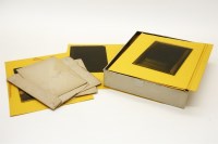 Lot 266 - Erotic photographic plate negatives