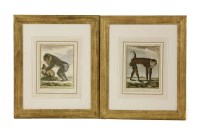 Lot 333 - Buffon (Georges-Louis Le Clerc