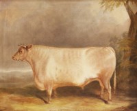 Lot 468 - J… Truman (mid-19th century)
A PRIZE BULL
Signed l.r.