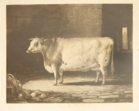 Lot 528 - Thomas Landseer