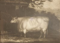 Lot 527 - James Ward
