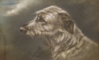 Lot 71 - D Tucker (20th century)
STUDY OF A LURCHER
Signed l.l.
