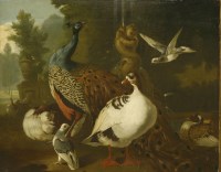 Lot 55 - Follower of Melchior de Hondecoeter