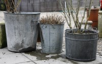 Lot 1007 - Three various zinc planters