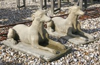 Lot 1114 - A pair of re-constituted greyhounds