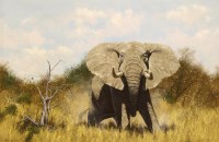 Lot 137 - Anthony Gibbs (b.1951)
THE OLD BULL
Signed and dated '75 l.l.