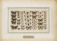 Lot 25 - Graham Clarke (British