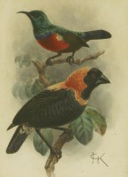 Lot 133 - Johannes Gerardus Keulemans (Dutch