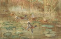 Lot 122 - Johannes Gerardus Keulemans (Dutch