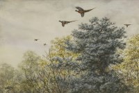 Lot 117 - George Edward Lodge (1860-1954)
HIGH PHEASANT
Signed l.l.
