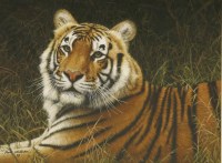 Lot 141 - Mark Whittaker (b.1964)
PADMINI