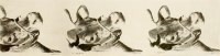 Lot 295 - Andy Warhol (American