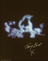 Lot 335 - Tracey Emin (British