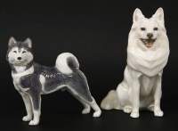 Lot 250 - A Copenhagen spitz and a husky
