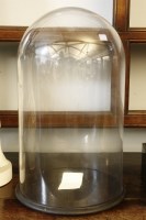 Lot 418 - A glass dome on circular ebonised base
