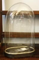 Lot 423 - A glass dome on oval ebonised base
