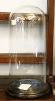 Lot 420 - A glass dome on circular ebonised base