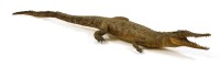 Lot 294 - A taxidermy caiman