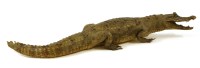 Lot 390 - A taxidermy caiman
